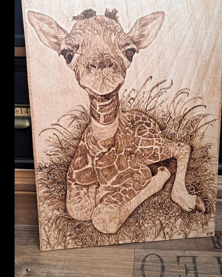 Giraf image