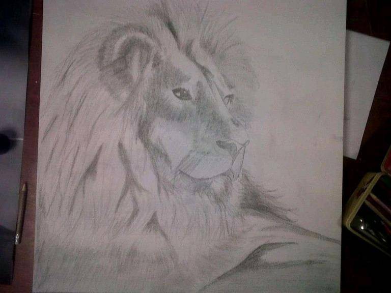 Drawing of the lion image