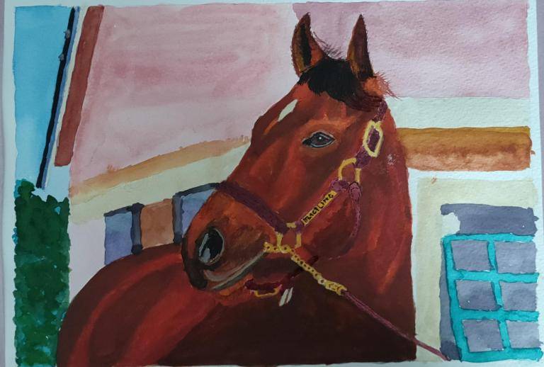 Horse Potrait image