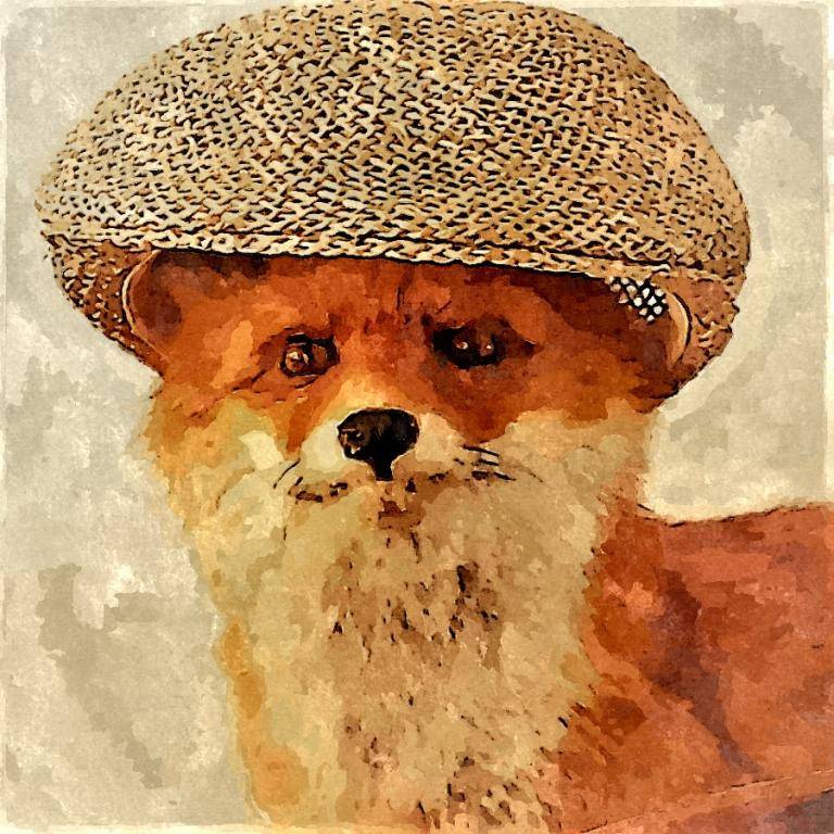 FOX image