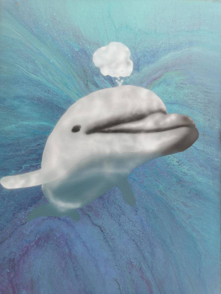 Dolphin  image