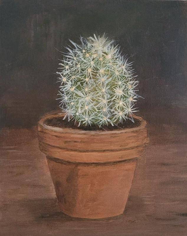 cactus in pot image