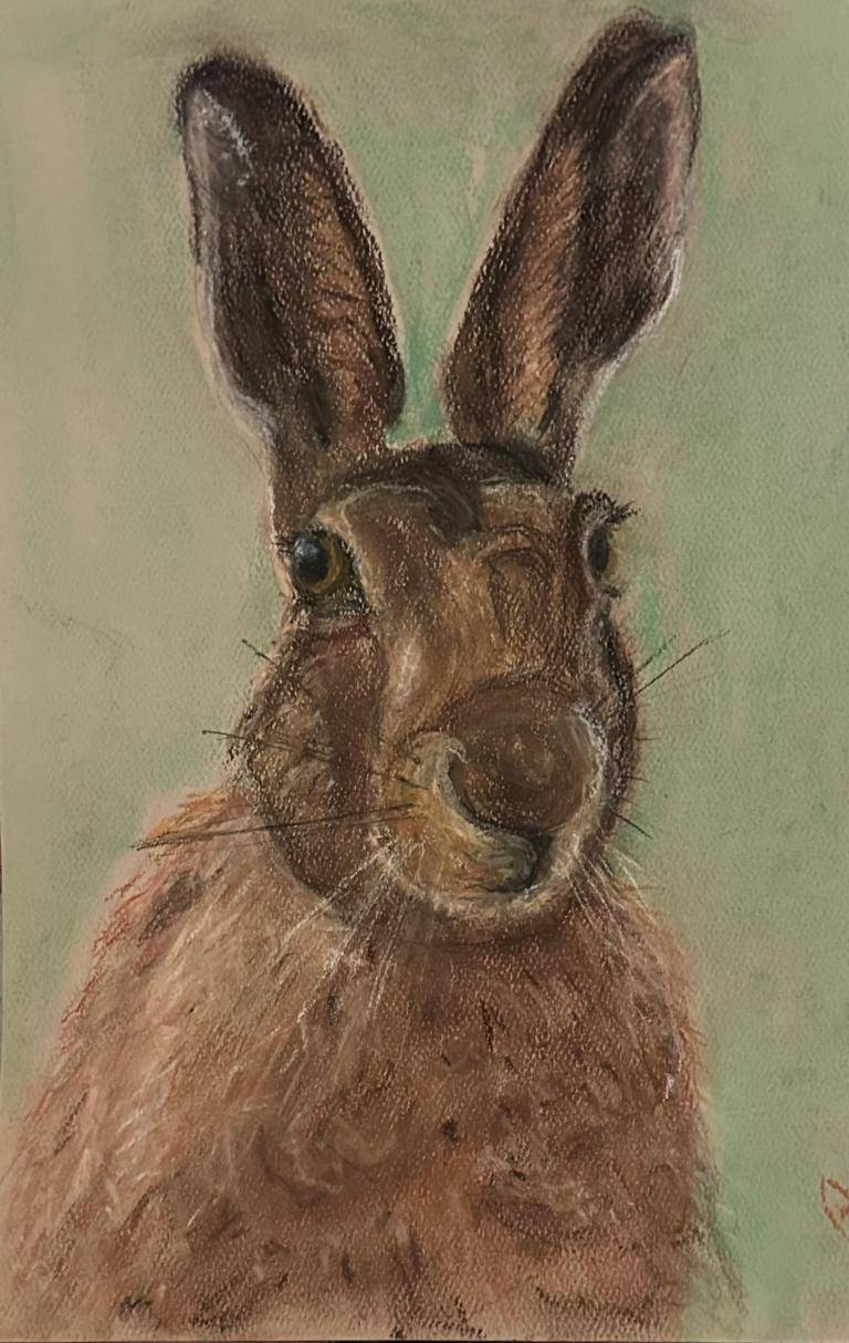 The Hare image