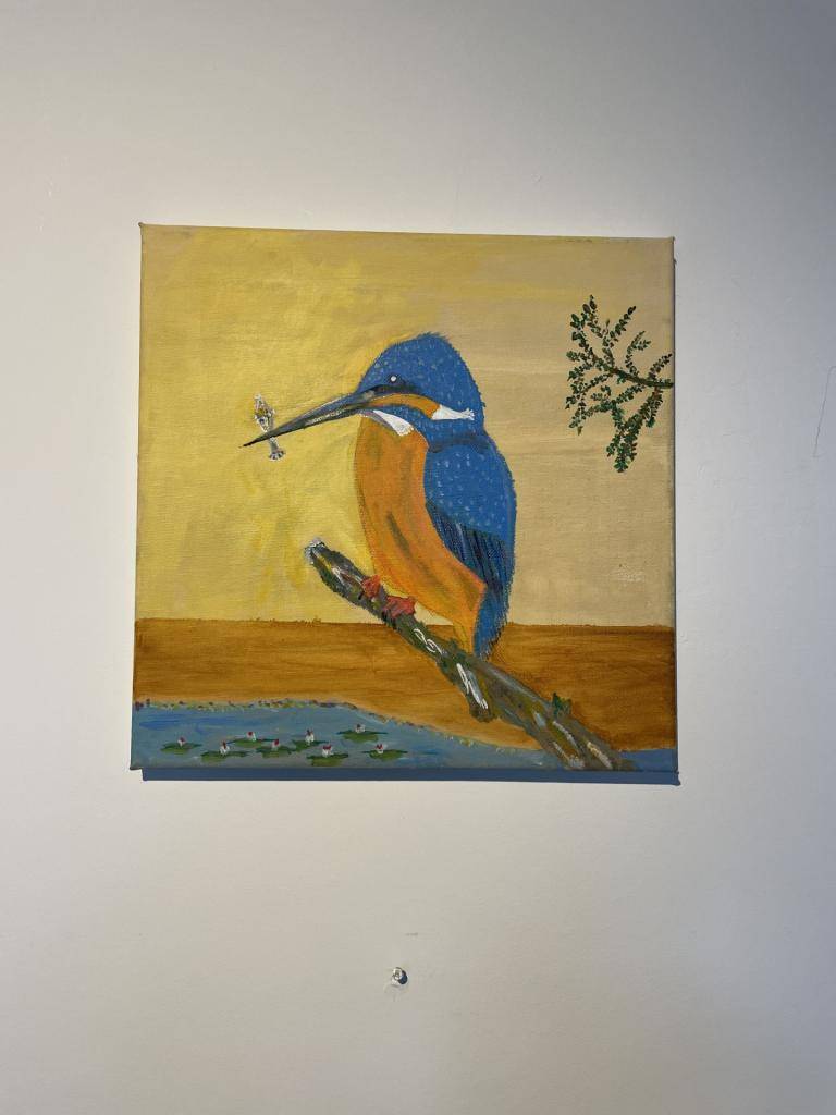 mijn lievelings vogel de ijsvogel image