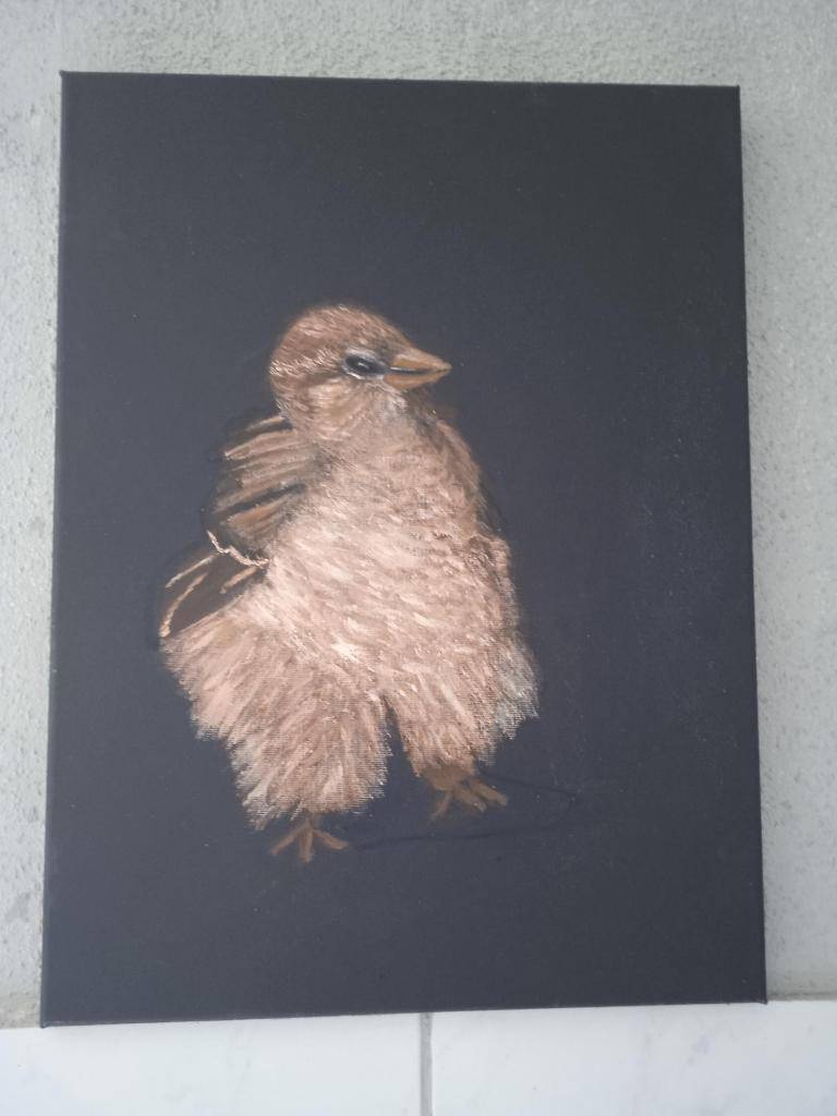 Fluffy Fluffy image