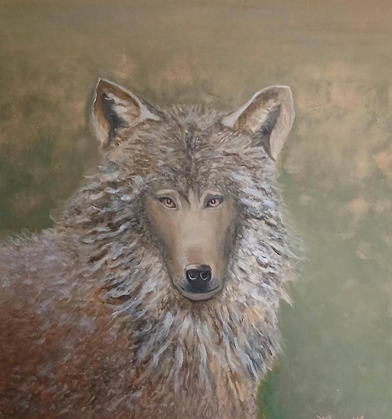 Wolf image