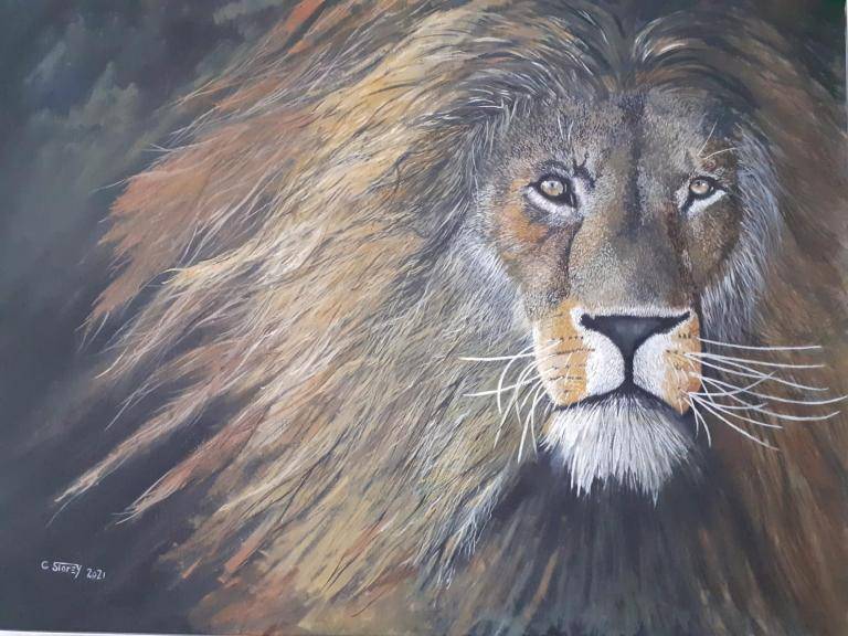 Lion Lion image