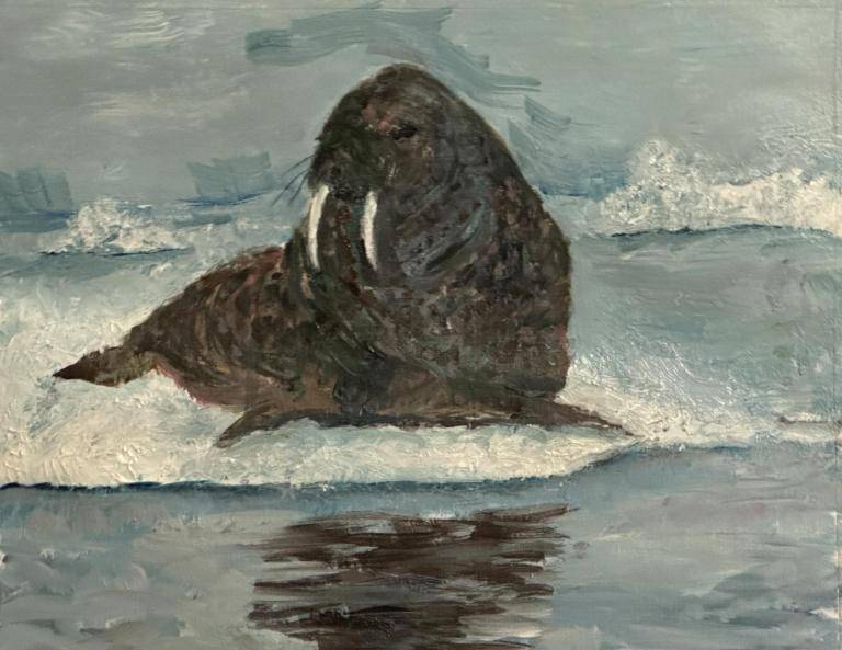 Walrus Walrus image
