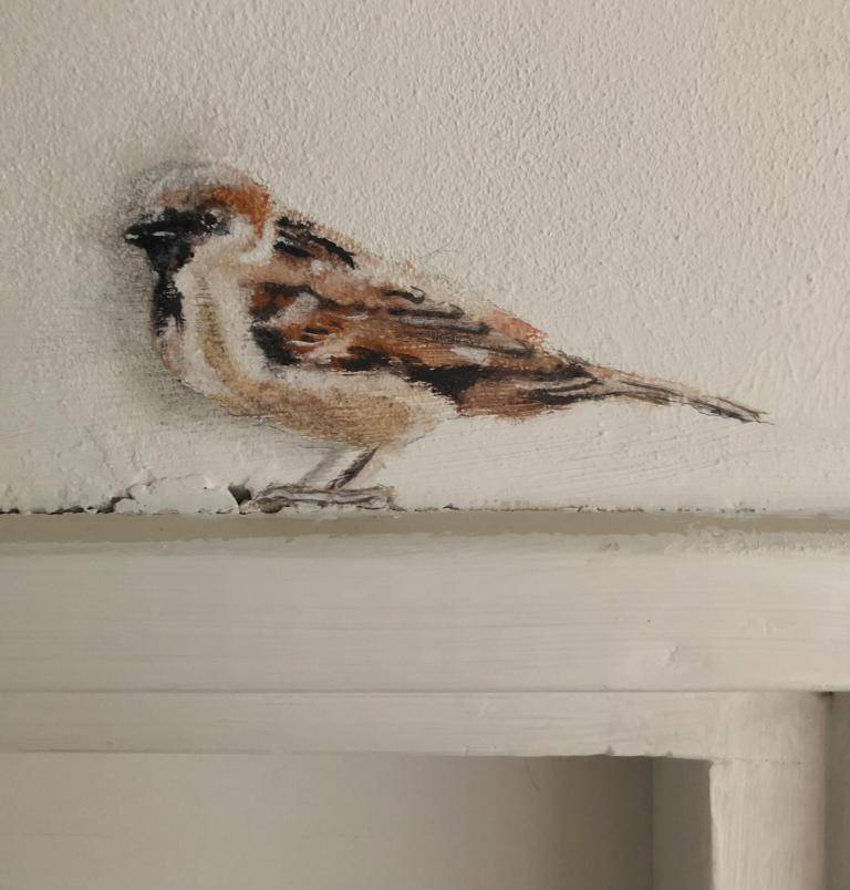 Sparrow on wall above door frame image