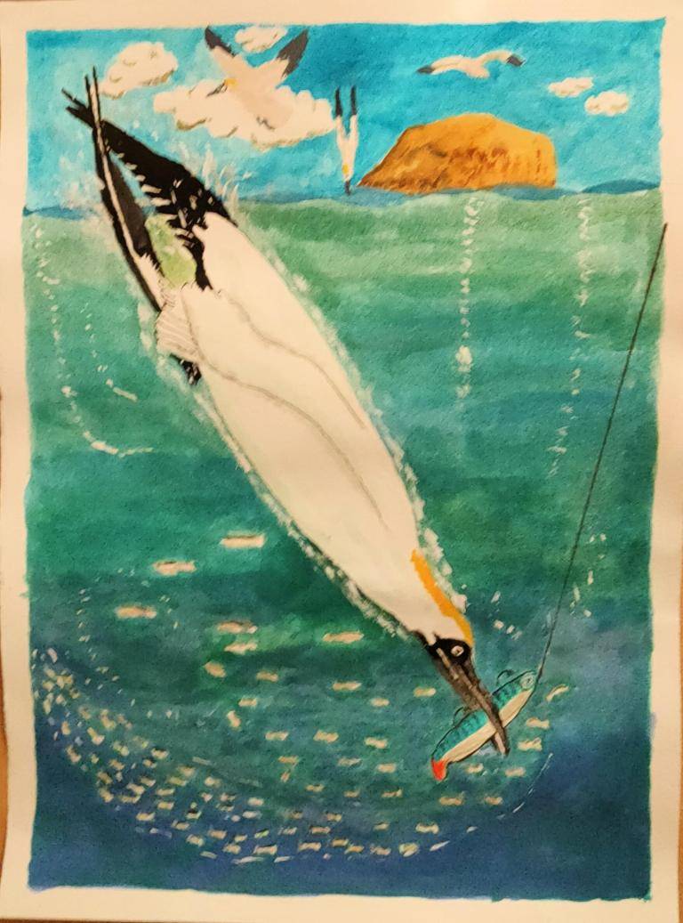 Abstract Gannet Fishing  image