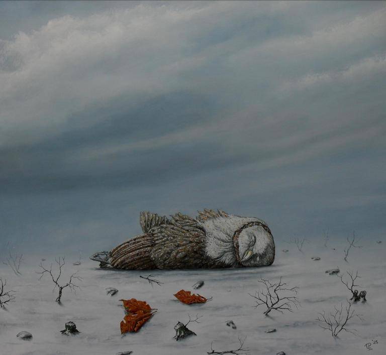 winterlandschap image
