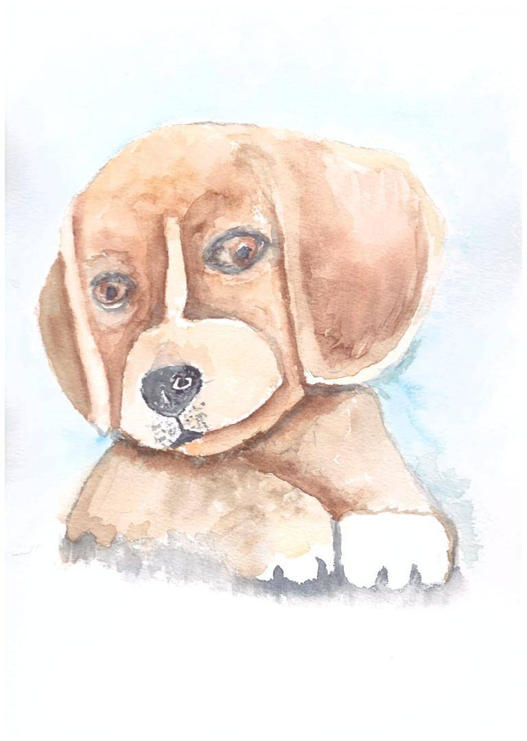 Hondje image