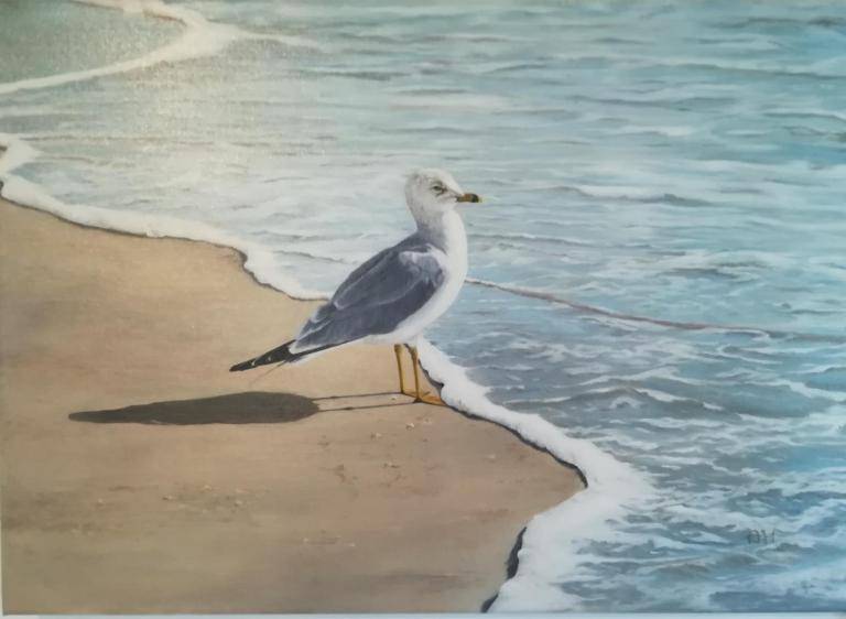 Pootje baden image