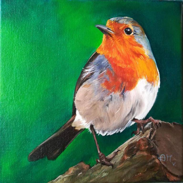 Robin image