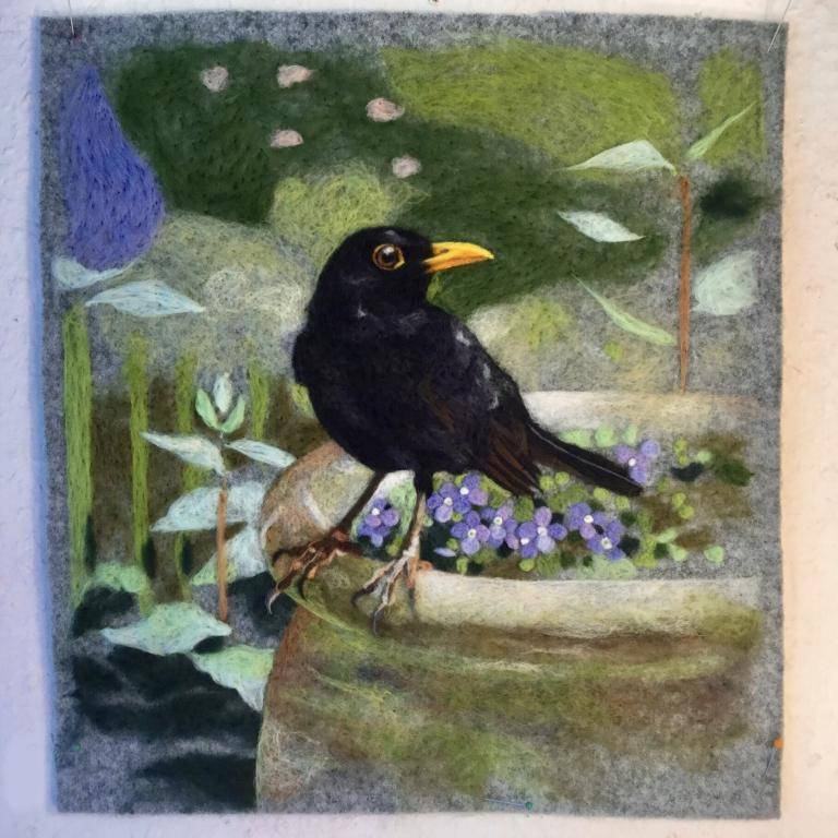 PIMO Portrait of a male blackbird image