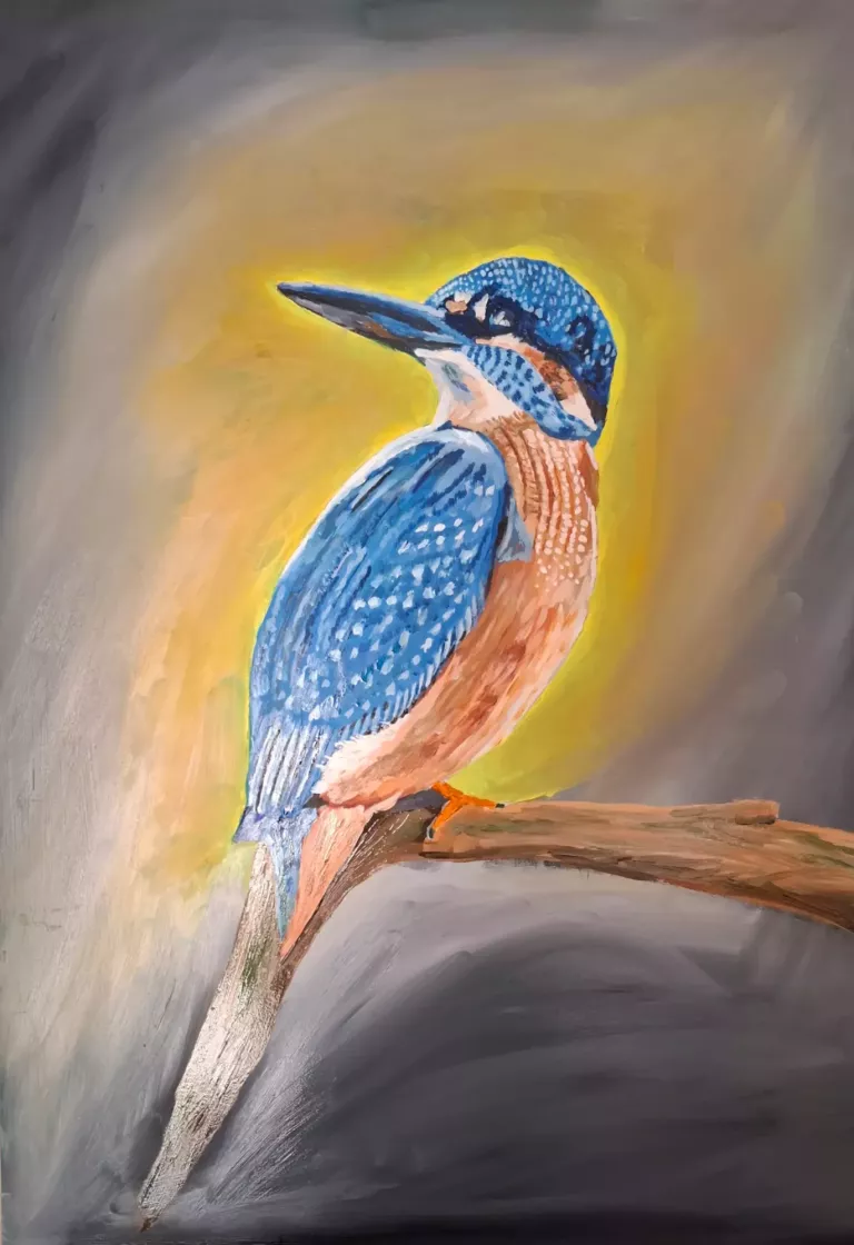 sneeuwvogel image