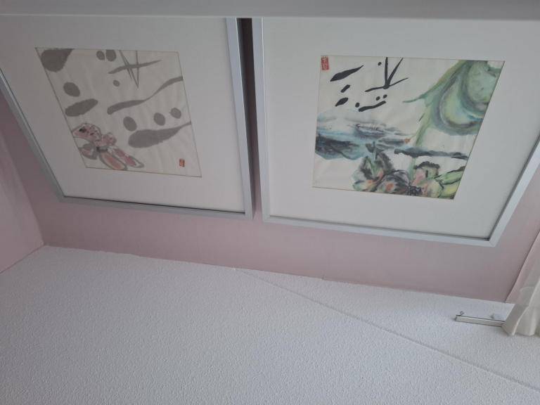 Dikke huisjesslak. Ook jij beklim de Fuji..Maar langzaam, langzaam. image