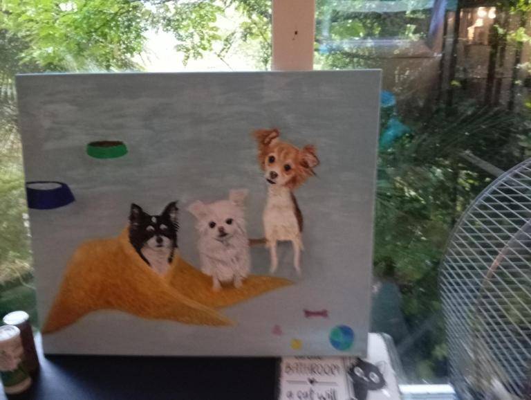 Hondjes van Jolanda  image